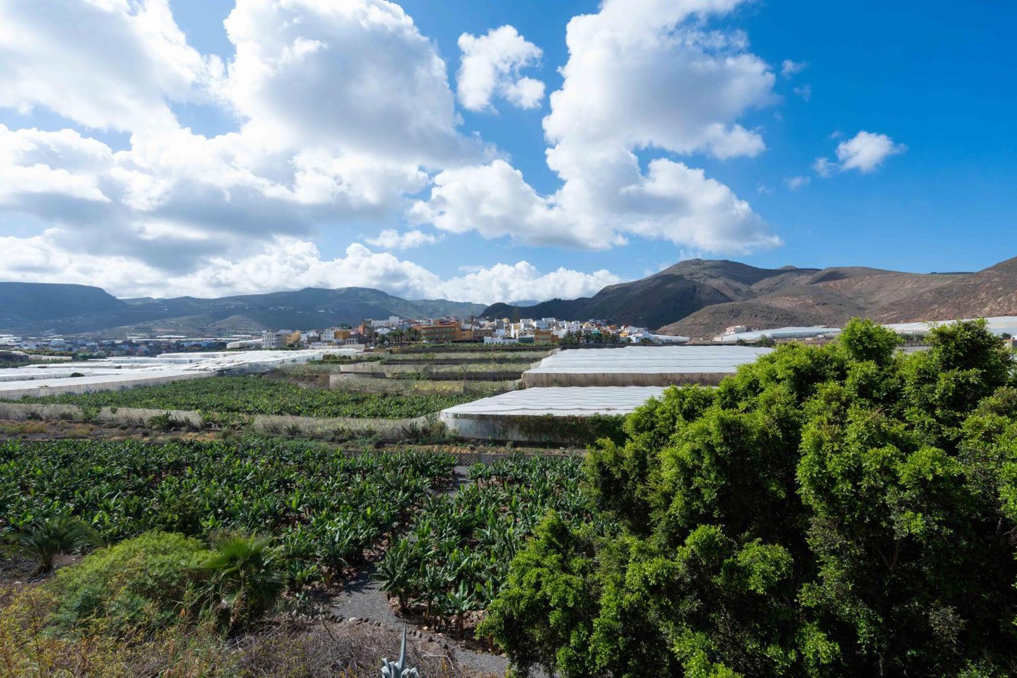 Las Fajanas De Galdar Las Palmas de Gran Canaria Dış mekan fotoğraf